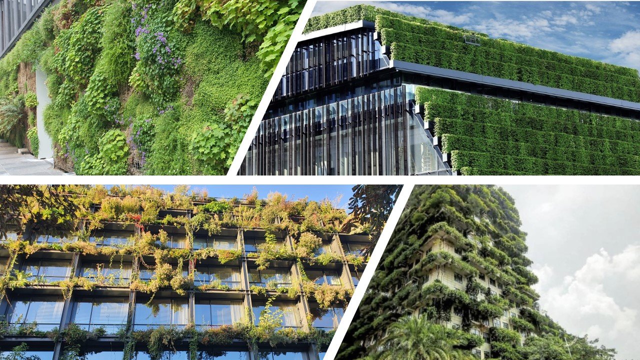 Pourquoi devons-nous végétaliser nos villes ?
